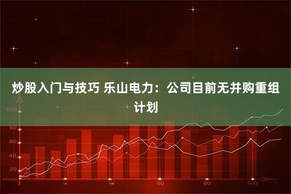 炒股入门与技巧 乐山电力：公司目前无并购重组计划