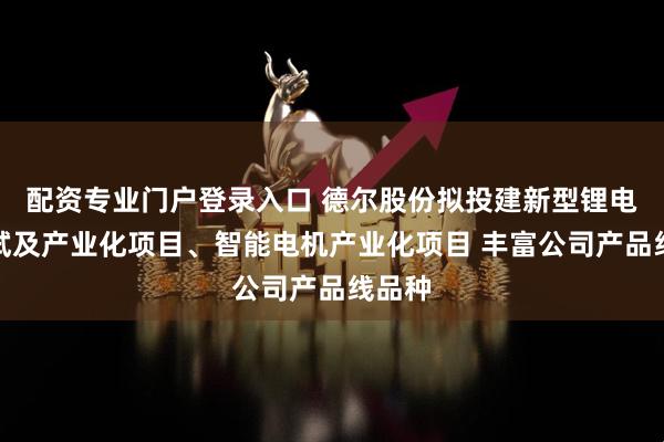 配资专业门户登录入口 德尔股份拟投建新型锂电池中试及产业化项目、智能电机产业化项目 丰富公司产品线品种