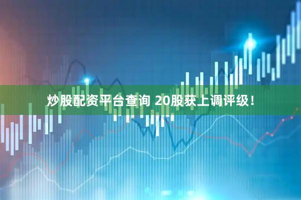 炒股配资平台查询 20股获上调评级！