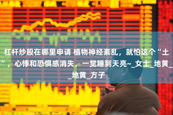 杠杆炒股在哪里申请 植物神经紊乱，就怕这个“土疙瘩”，心悸和恐惧感消失，一觉睡到天亮~_女士_地黄_方子